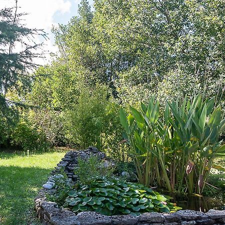 Ordonnac Au Detour Des Vignes B&B 외부 사진