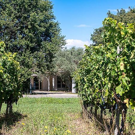 Ordonnac Au Detour Des Vignes B&B 외부 사진