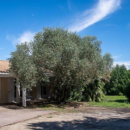 Ordonnac Au Detour Des Vignes B&B 외부 사진