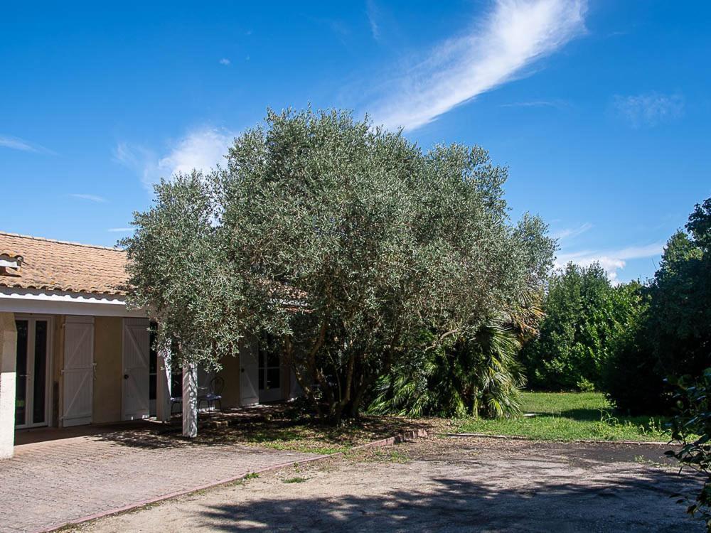 Ordonnac Au Detour Des Vignes B&B 외부 사진